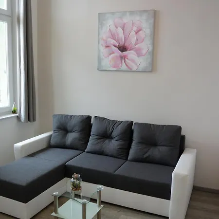 Center Vibes Lux Apartman