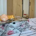 Center Vibes Lux Apartman *