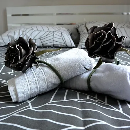 Apartament Center Vibes Lux
