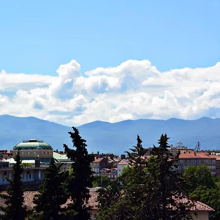 Center Vibes Lux Apartman *