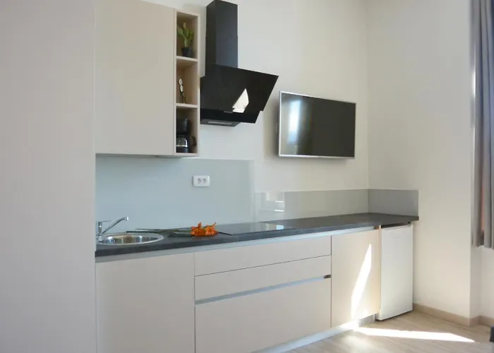 Center Vibes Lux Appartement